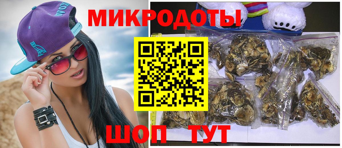 Галлюциногенные грибы Psilocybe  Вход с VPN  Галлюциногенные грибы ЛСД  Кулебаки 